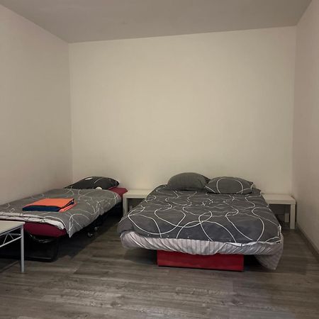 Logement Type Studio 1 Piece Proche Zenith Strasburg Zewnętrze zdjęcie